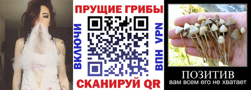 Галлюциногенные грибы прущие грибы Урень
